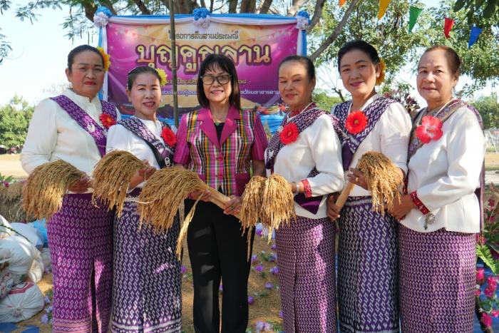 โครงการสืบสานประเพณีบุญคูณลาน ประจำปี...